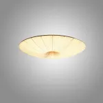 Потолочная люстра Aqua Creations Lighting round D60