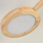 Потолочная люстра JACKY D39