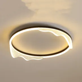 Потолочный светильник IZELIN D40 Black Потолочный светильник IZELIN D40 Black