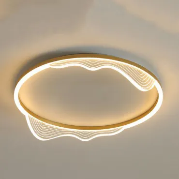 Потолочный светильник IZELIN D50 Brass