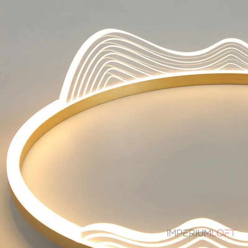 Потолочный светильник IZELIN D50 Black от ImperiumLoft