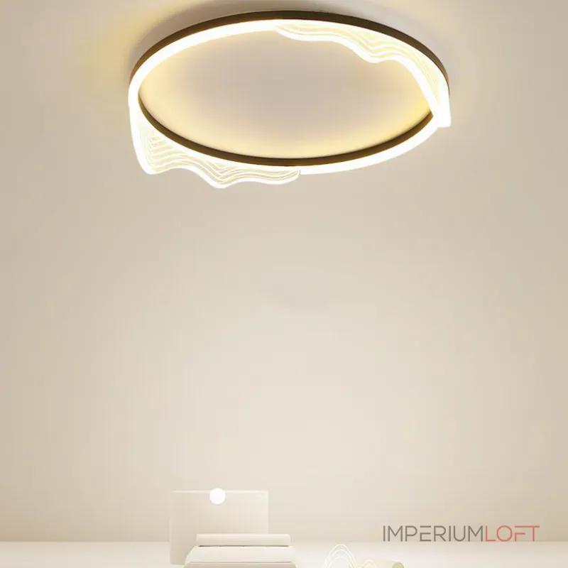 Потолочный светильник IZELIN D50 Black от ImperiumLoft