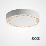 Потолочный светильник OCTAVIA D25,5 White 3000К от ImperiumLoft