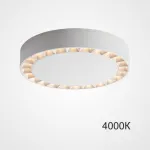 Потолочный светильник OCTAVIA D25,5 White 4000К от ImperiumLoft