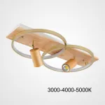 Потолочный светильник DIDRIKA L55 Light Brown Трехцветный свет от ImperiumLoft