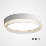 Потолочный светильник MALIA D55 White 4000К от ImperiumLoft