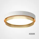 Потолочный светильник MALIA D45 White Brass 4000К от ImperiumLoft