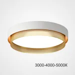 Потолочный светильник MALIA D45 White Brass Трехцветный свет от ImperiumLoft