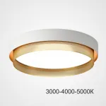 Потолочный светильник MALIA D55 White Brass Трехцветный свет от ImperiumLoft