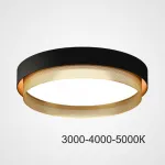 Потолочный светильник MALIA D45 Black Brass Трехцветный свет от ImperiumLoft