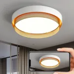 Потолочный светильник MALIA D55 White Brass 4000К от ImperiumLoft