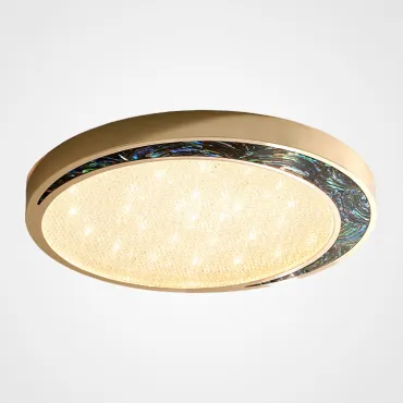 Потолочный светильник LIGATURE CH D40