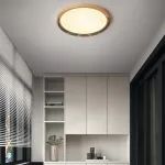 Потолочный светильник LIGATURE CH D50 от ImperiumLoft