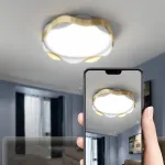 Потолочный светильник MAARET D50 Black от ImperiumLoft