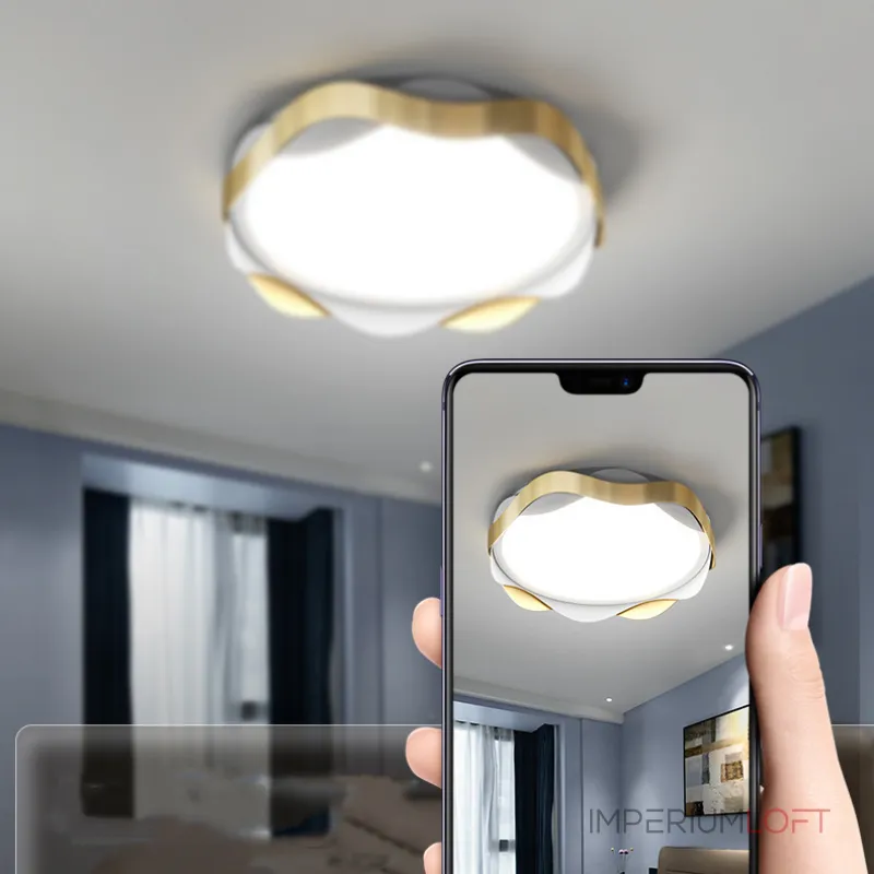 Потолочный светильник MAARET D50 Black от ImperiumLoft