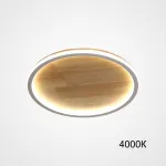 Потолочный светильник DOLAN D20 4000К от ImperiumLoft