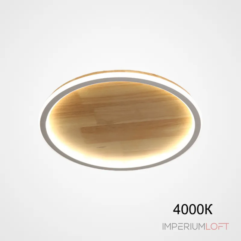 Потолочный светильник DOLAN D20 4000К от ImperiumLoft Потолочный светильник DOLAN D20 4000К от ImperiumLoft