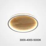 Потолочный светильник DOLAN D20 Трехцветный свет от ImperiumLoft