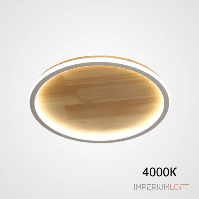 Потолочный светильник DOLAN D30 4000К от ImperiumLoft Потолочный светильник DOLAN D30 4000К от ImperiumLoft