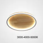 Потолочный светильник DOLAN D30 Трехцветный свет от ImperiumLoft