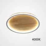 Потолочный светильник DOLAN D40 4000К от ImperiumLoft