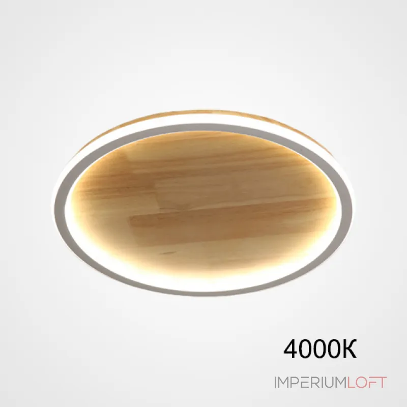 Потолочный светильник DOLAN D40 4000К от ImperiumLoft Потолочный светильник DOLAN D40 4000К от ImperiumLoft