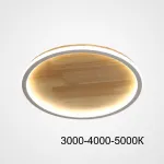 Потолочный светильник DOLAN D40 Трехцветный свет от ImperiumLoft