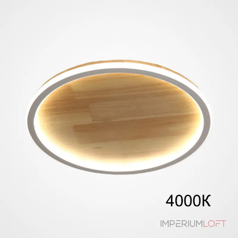 Потолочный светильник DOLAN D50 4000К от ImperiumLoft Потолочный светильник DOLAN D50 4000К от ImperiumLoft