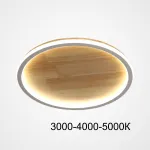 Потолочный светильник DOLAN D50 Трехцветный свет от ImperiumLoft