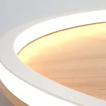 Потолочный светильник DOLAN D30 3000К от ImperiumLoft