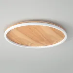 Потолочный светильник DOLAN D30 3000К от ImperiumLoft