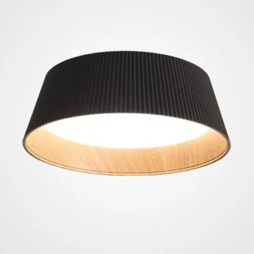 Потолочный светильник HILDNY CH Black