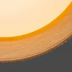 Потолочный светильник HILDNY CH Black от ImperiumLoft