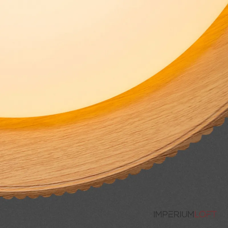 Потолочный светильник HILDNY CH Black от ImperiumLoft