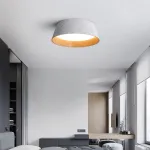 Потолочный светильник HILDNY CH Black от ImperiumLoft