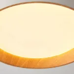 Потолочный светильник WENNY D35 Трехцветный свет от ImperiumLoft