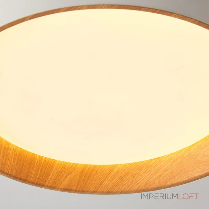 Потолочный светильник WENNY D35 Трехцветный свет от ImperiumLoft