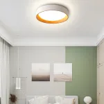 Потолочный светильник WENNY D35 Трехцветный свет от ImperiumLoft