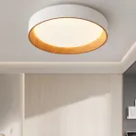 Потолочный светильник WENNY D35 Трехцветный свет от ImperiumLoft