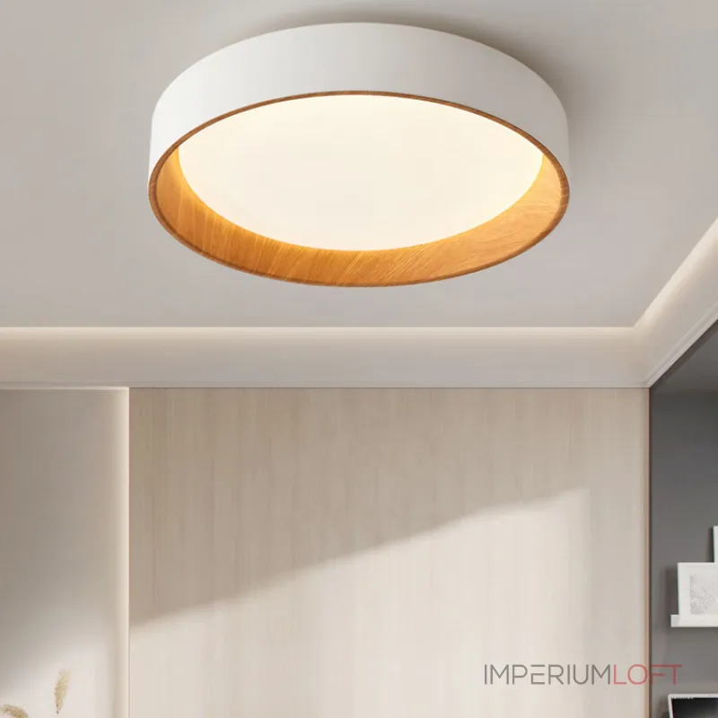 Потолочный светильник WENNY D35 Трехцветный свет от ImperiumLoft