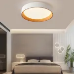 Потолочный светильник WENNY D35 Трехцветный свет от ImperiumLoft