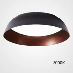 Потолочный светильник BARBO D55 3000К от ImperiumLoft