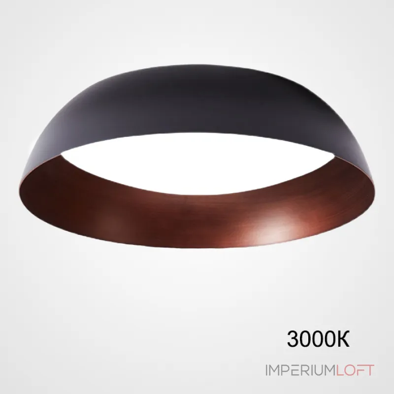 Потолочный светильник BARBO D55 3000К от ImperiumLoft Потолочный светильник BARBO D55 3000К от ImperiumLoft