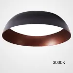 Потолочный светильник BARBO D65 3000К от ImperiumLoft