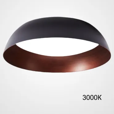 Потолочный светильник BARBO D65 3000К Потолочный светильник BARBO D65 3000К