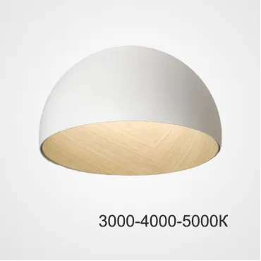 Потолочный светильник BARA B D35 White Трехцветный свет