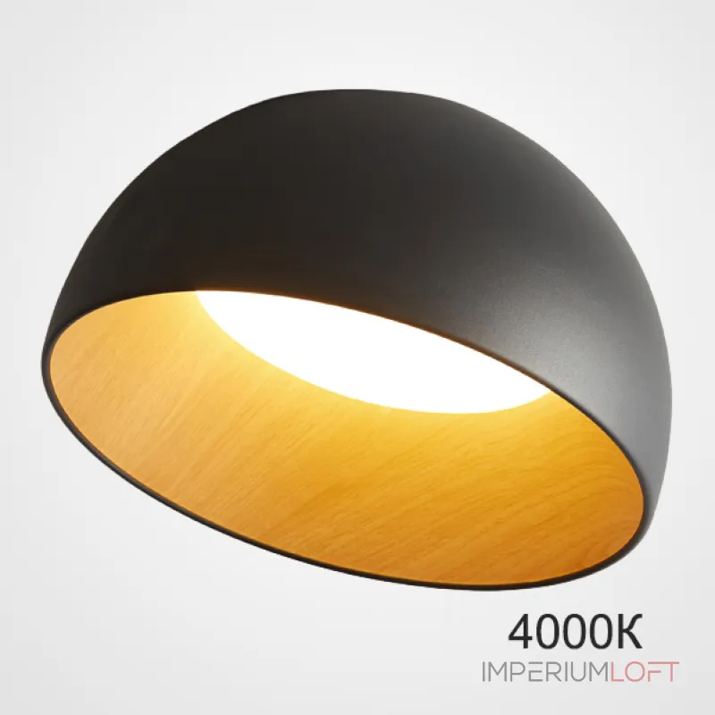 Потолочный светильник BARA A D50 Black 4000К от ImperiumLoft Потолочный светильник BARA A D50 Black 4000К от ImperiumLoft