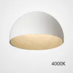 Потолочный светильник BARA B D50 White 4000К от ImperiumLoft
