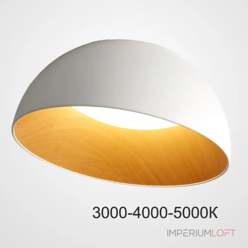 Потолочный светильник BARA A D50 White Трехцветный свет от ImperiumLoft Потолочный светильник BARA A D50 White Трехцветный свет от ImperiumLoft