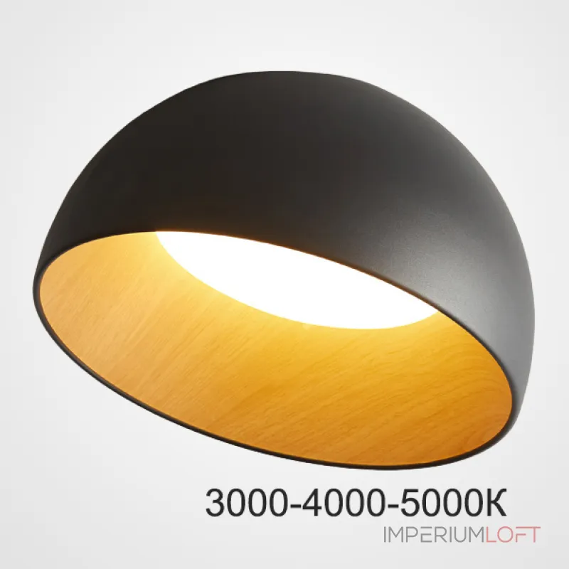 Потолочный светильник BARA A D50 Black Трехцветный свет от ImperiumLoft Потолочный светильник BARA A D50 Black Трехцветный свет от ImperiumLoft